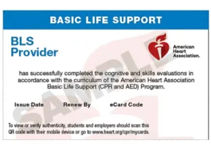 CPR Certification: How Long is it Good For? [Expiry Guide]