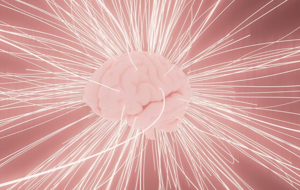 LMS certification programs