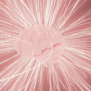 LMS certification programs